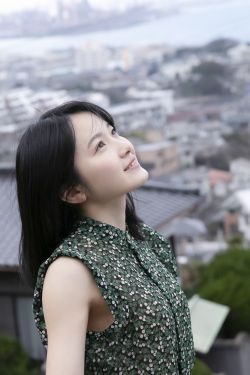 《金花瓶楷梅花2》